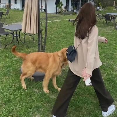 紧急呼救第三季